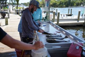 Catch Cleaning in Florida Charters